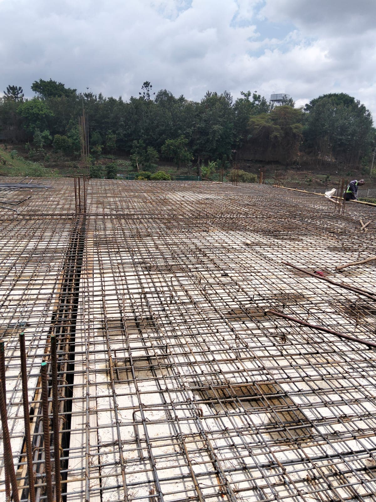 Urban Park Construction